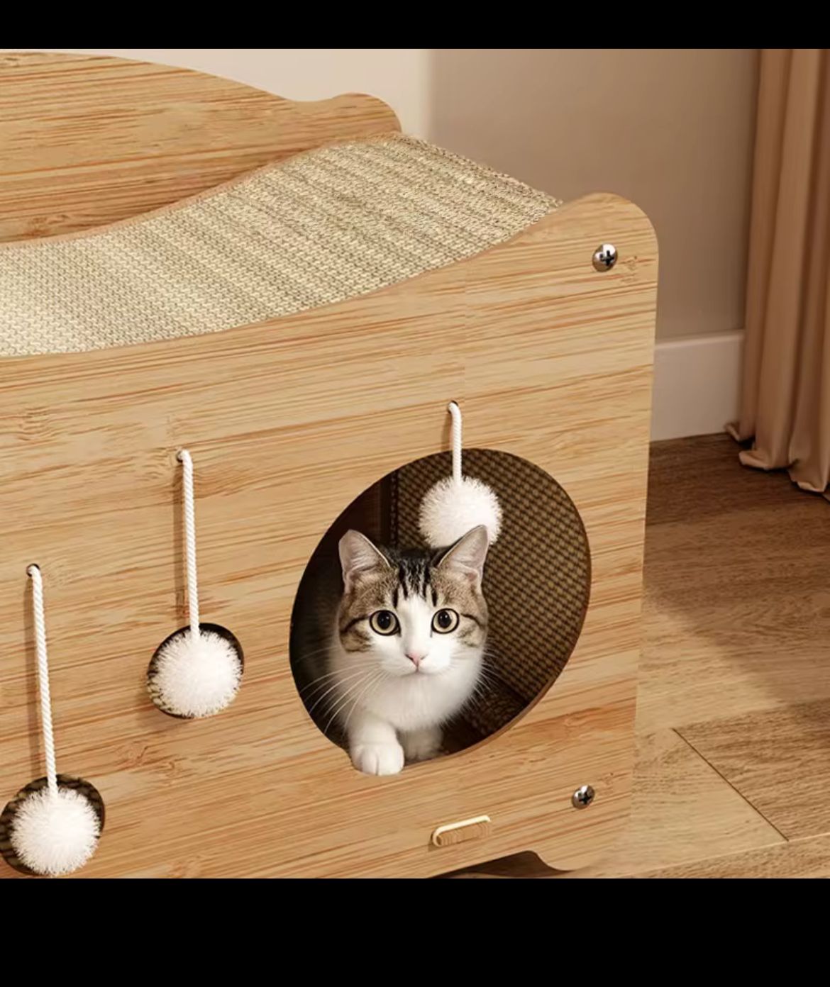 Cat Scratcher House