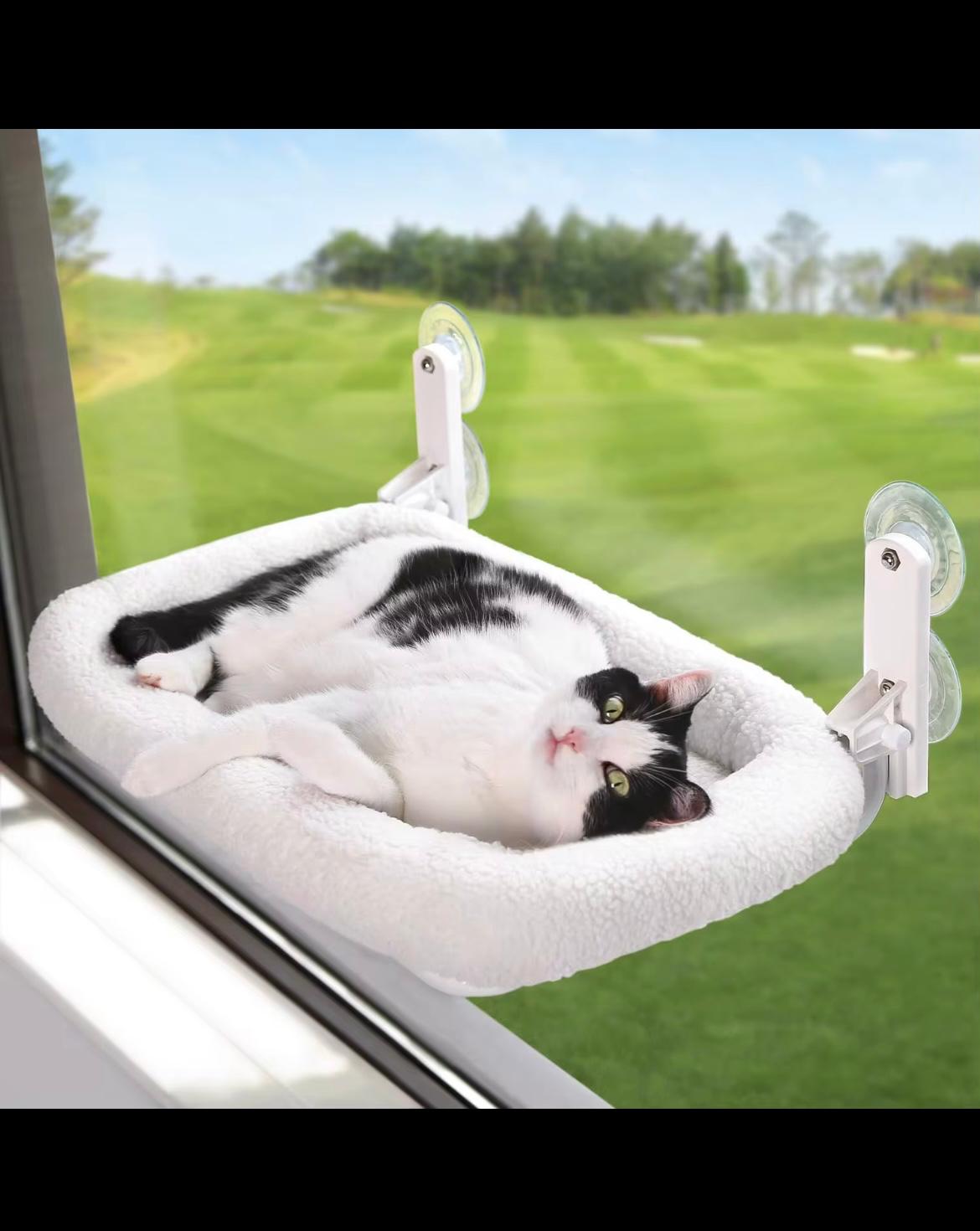 Cat Window Bed
