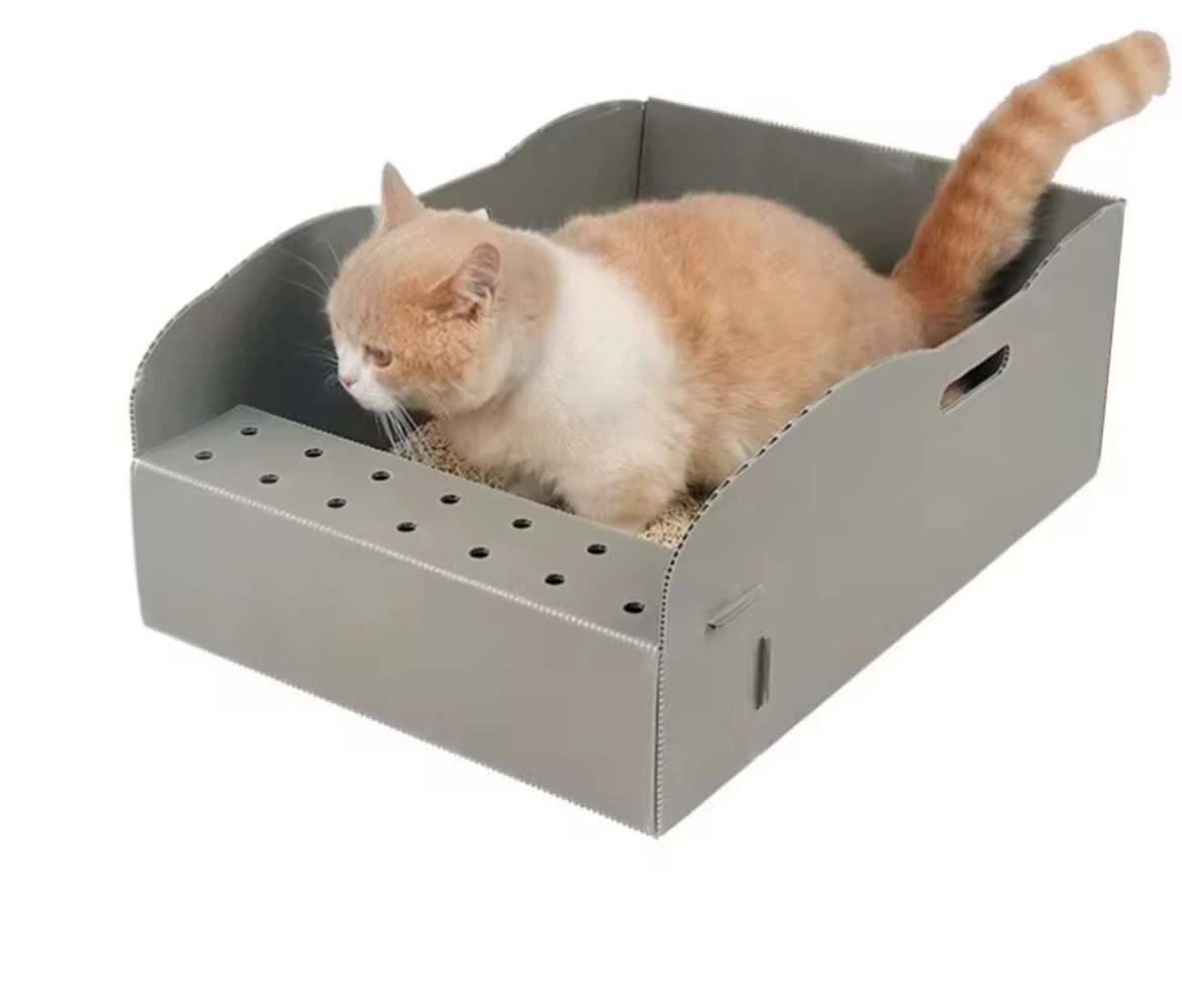 Cat Toilet Box